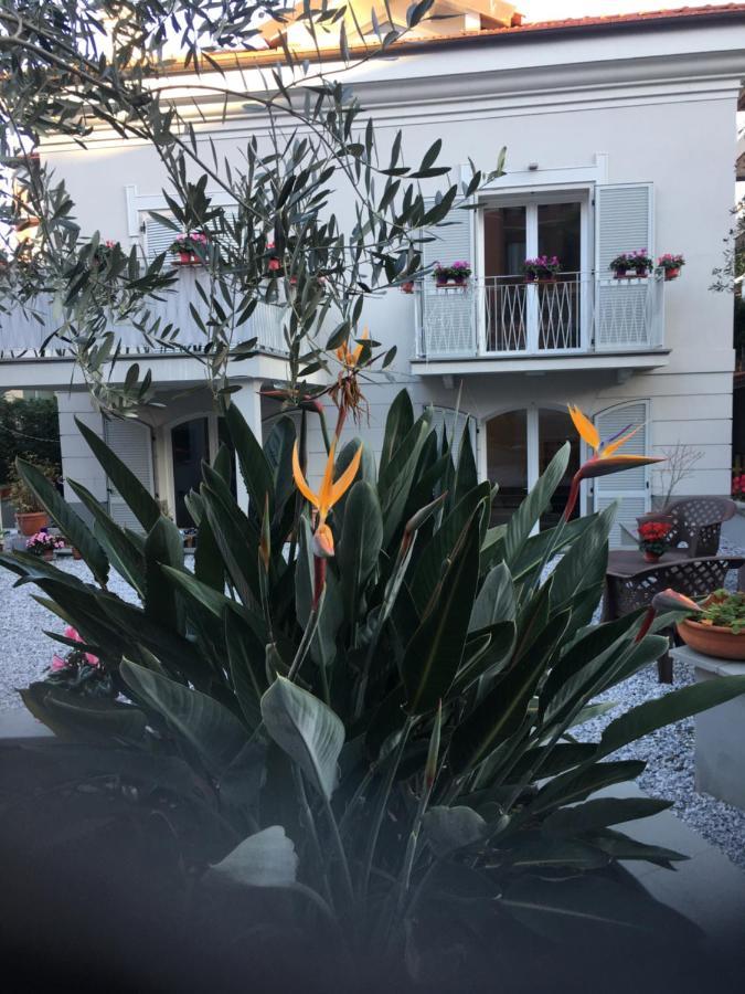 Guesthouse Villa Jung ボルディゲーラ エクステリア 写真