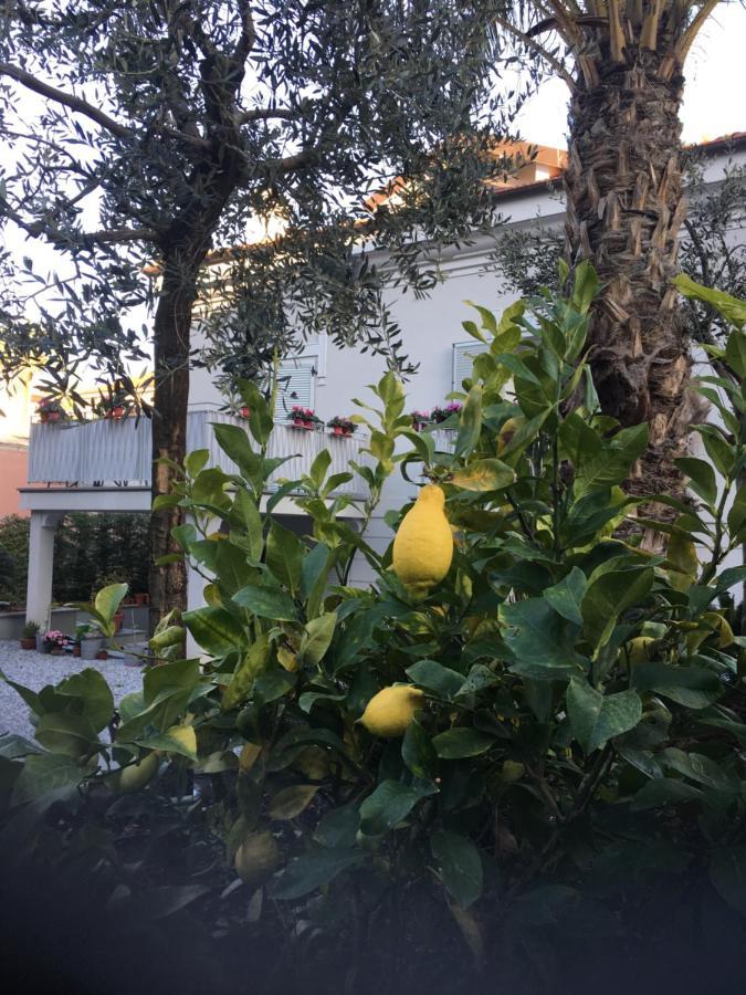 Guesthouse Villa Jung ボルディゲーラ エクステリア 写真